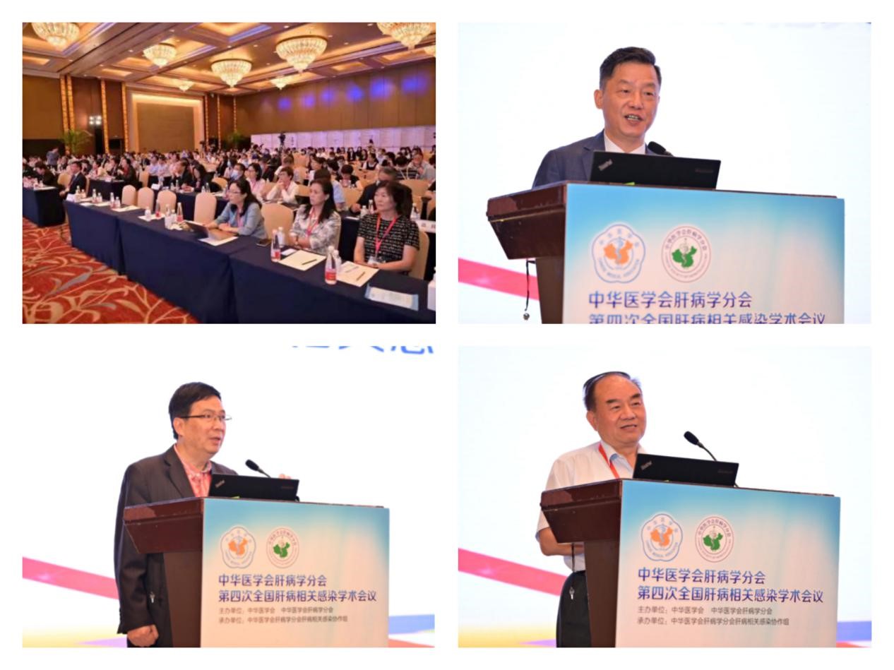 聚焦學(xué)術(shù)前沿，共迎肝病防治新征程！福瑞股份以學(xué)術(shù)助力中醫(yī)藥發(fā)展