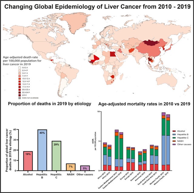 2010-2019年全球肝癌流行病學變化：NASH為肝癌最快增長病因