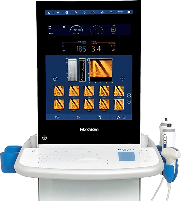 肝臟是沉默的器官，早篩早診早治至關重要